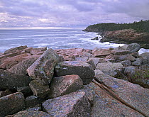 Otter Cliff from Thunder Hole, Acadia National Park, Maine