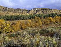 Autumn in Theodore Roosevelt National Park, North Dakota
