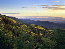 Santa Fe National Forest, New Mexico