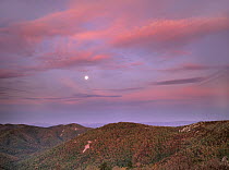 Moon over Blue Ridge Range and Lost Cove Cliffs, Blue Ridge Parkway, North Carolina