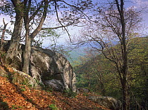 Wildcat Rocks in Doughton Park, Blue Ridge Parkway, North Carolina