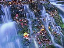 Laurel Creek cascades, Great Smoky Mountains National Park, Tennessee