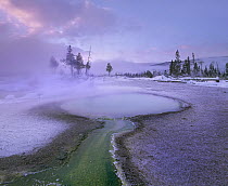 Hot spring, Upper Geyser Basin, Yellowstone National Park, Wyoming