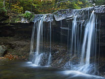 Cayuga Falls, Ricketts Glen State Park, Pennsylvania