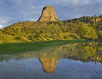 Devil's Tower National Monument showing famous basalt tower, sacred site for Native Americans, Wyoming