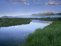 Wetland and Sawtooth Range, Idaho