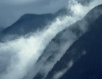 Mist rising in the Cascade Mountains near Hope, British Columbia, Canada