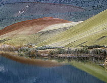 Painted Hills reflected in water, John Day Fossil Beds National Monument, Oregon