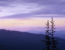 Cascade Range from Sunrise Point, Mount Rainier National Park, Washington