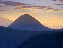 Mount Rainier from Sunrise Point, Mount Rainier National Park, Washington