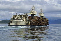 Sitka Spruce (Picea sitchensis) and Hemlock logs carried on barge, Queen Charlotte Islands, British Columbia, Canada
