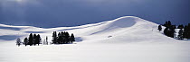 Hayden Valley in late winter, Yellowstone National Park, Wyoming
