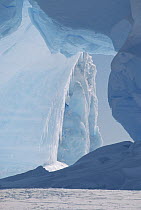 Icebergs caught in frozen ice shelf, Weddell Sea, Antarctica