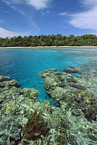 Coral reef in lagoon surrounded by white sand beaches and palm trees, Rani Island, Irian Jaya, Indonesia