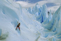 Ice climber on Perito Moreno Glacier, Los Glaciares National Park, Argentina