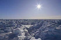 Sun shining over icefield, Antarctica