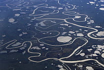 Aerial view of tundra with meandering rivers and lakes, northern Siberia, Russia
