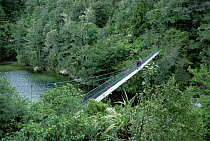 Hiker crossing suspension bridge, Abel Tasman National Park, South Island, New Zealand
