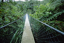 Suspension bridge in Abel Tasman National Park, South Island, New Zealand