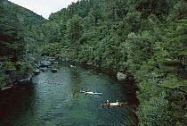 Kayakers on river, Abel Tasman National Park, South Island, New Zealand