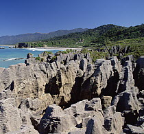 Pancake rocks, Paparoa National Park, South Island, New Zealand