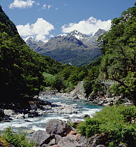 Hollyford River and Eyre Mountain Range, Fjordland National Park, South Island, New Zealand
