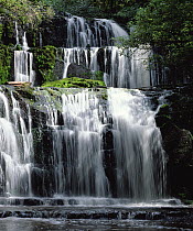 Purakaunui Falls cascading in tropical rainforest, Catlins, South Island, New Zealand