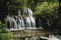 Purakaunui Falls and tropical rainforest, Catlins, South Island, New Zealand