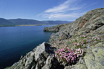 Rocky shoreline, Barakchin Island, Lake Baikal, Russia