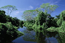 Cassauge River, Rio Paraguay, Pantanal, Mato Grosso, Brazil