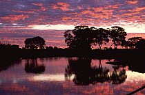 Paraguay River at sunset, Pantanal, Brazil