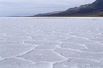 Salt flats at Badwater with polygon shapes, Death Valley National Park, California