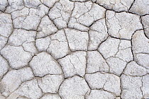 Dry and cracked ground pattern, California