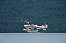 Seaplane flying, Katmai National Park, Alaska