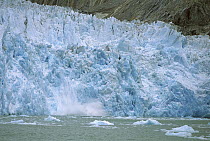 Dawes Glacier calving, Endicott Arm, Inside Passage, Alaska