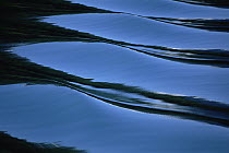 Ripples and reflections on water surface, Alaska