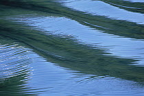 Ripples and reflections on water surface, Alaska