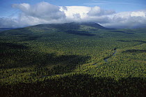 Koip Mountain covered with pristine boreal forest, Ural Mountains, Pechora-Ilych Reserve, Russia