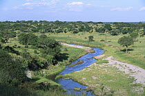 Tarangire River, Tarangire National Park, Tanzania, east Africa