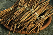 Cinnamon (Cinnamomum aromaticum) comes from the inner bark of a tropical evergreen tree that curls into scrolls when dried, Germany