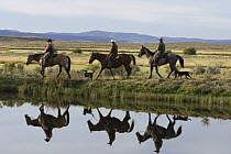 Cowboys and a cowgirl riding Domestic Horse (Equus caballus) pair beside pond, Oregon