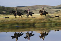 Cowboys riding Domestic Horse (Equus caballus) group beside pond with dogs, Oregon