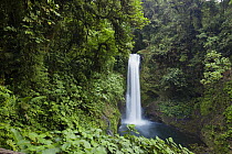 La Paz Waterfalls in lush rainforest, Costa Rica