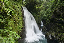 La Paz Waterfalls in rainforest, Costa Rica