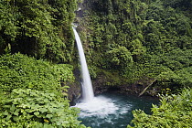 La Paz waterfalls in rainforest, Costa Rica