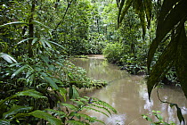 River in lowland rainforest, Braulio Carrillo National Park, Costa Rica