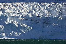 Monaco Glacier, Liefdefjorden, Spitsbergen, Norway