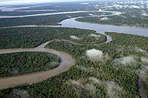Aerial view of gulf coast region showing lowland tropical rainforest and winding rivers, Kikori Delta, Papua New Guinea