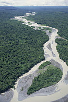 Aerial view of braided river channel through rainforest, Lake Kutubu region, Papua New Guinea