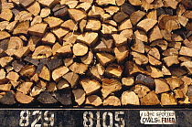 Firewood hauled from clearcut on truck bed with 'I Love Spotted Owls, Fried' bumper sticker, Suislaw National Forest, Oregon